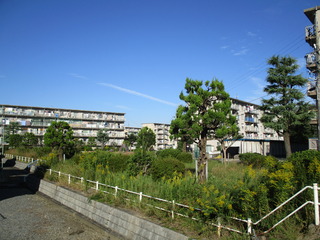 BIMG_2633.JPG